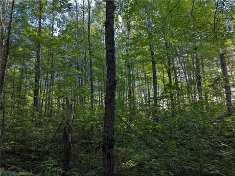 00 Beaver Brook Rd, Radisson, WI 54867 photo 36