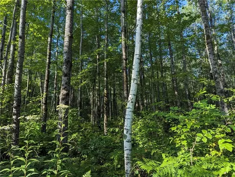 00 Beaver Brook Rd, Radisson, WI 54867 photo 39