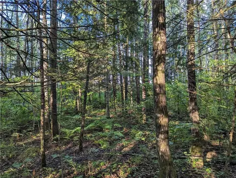 00 Beaver Brook Rd, Radisson, WI 54867 photo 10