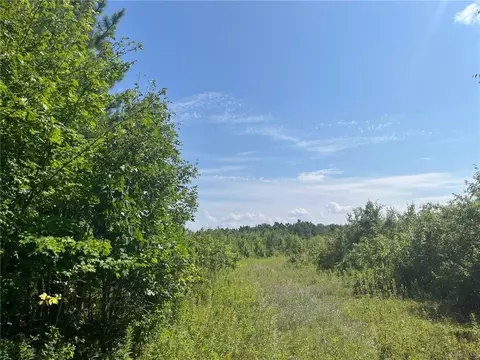 10787 Black Brook Road, Webster, WI 54893