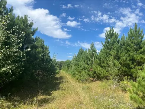10731 Black Brook Road, Webster, WI 54893