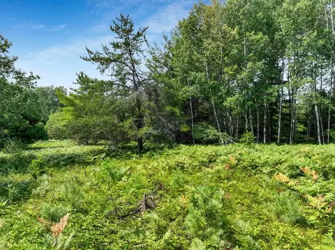 0 Clear Lake Rd, Hayward, WI 54843