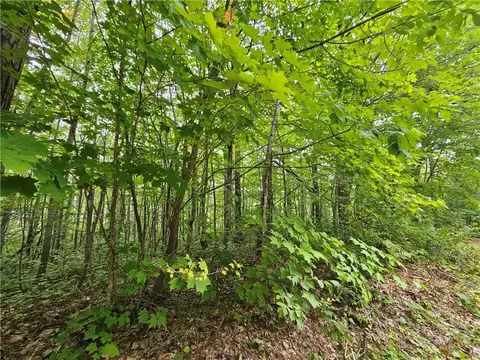 Lots 30-34 Lake Ave, Hayward, WI 54843