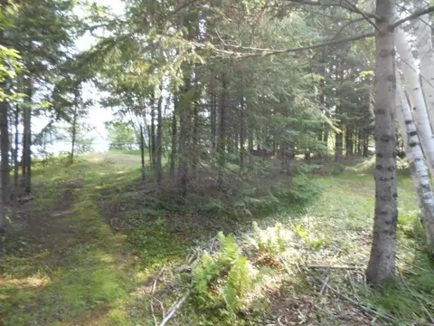 n8930 Long Johns Road, Phillips, WI 54555 photo 27