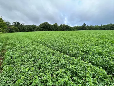 Lot 3 335th Avenue, Frederic, WI 54837