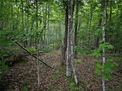 0 Old Highway D, Holcombe, WI 54768