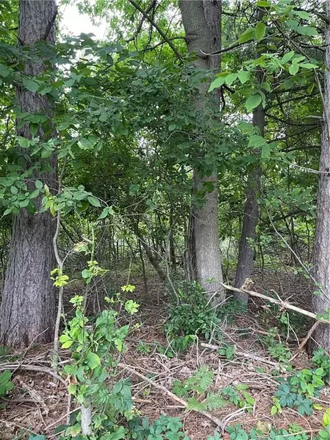 2 42 Acres 8th St, Cornell, WI 54732 photo 3