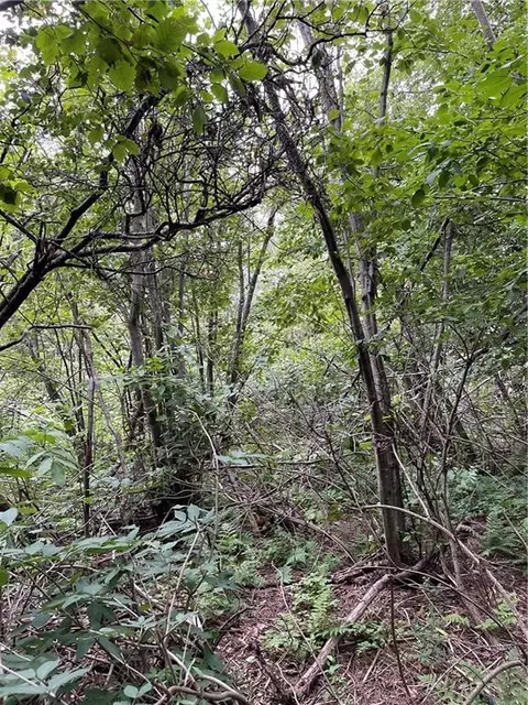 2 42 Acres 8th St, Cornell, WI 54732 photo 7