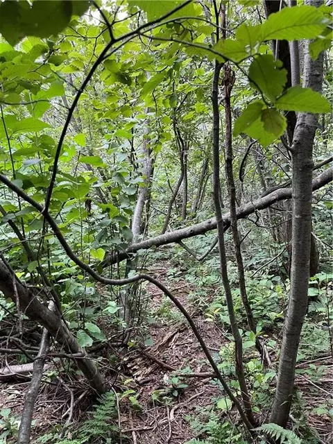 2 42 Acres 8th St, Cornell, WI 54732 photo 6