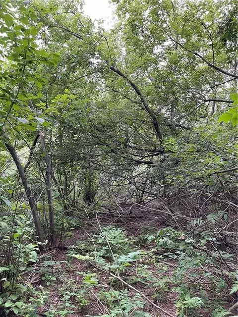 2 42 Acres 8th St, Cornell, WI 54732 photo 2