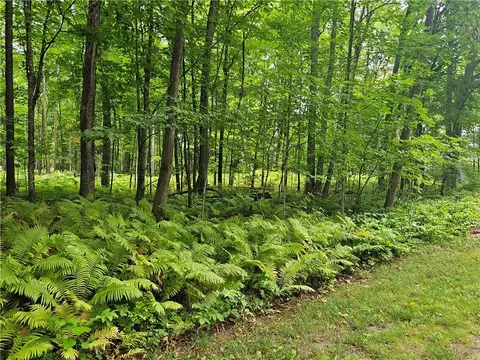 Lot 1 And 2 Linden Road, Hayward, WI 54843