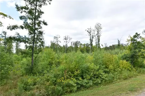 Lot 1 Bear Paw Road, Bruce, WI 54819 photo 4