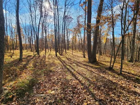 Nn Timberland Road, Barronett, WI 54813