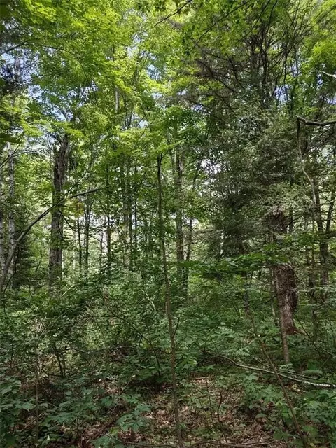 Tbd Willow Court, Cable, WI 54821 photo 8