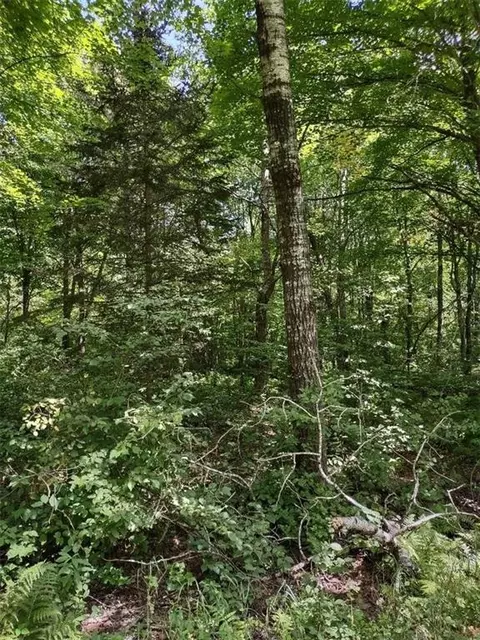 Tbd Willow Court, Cable, WI 54821 photo 7