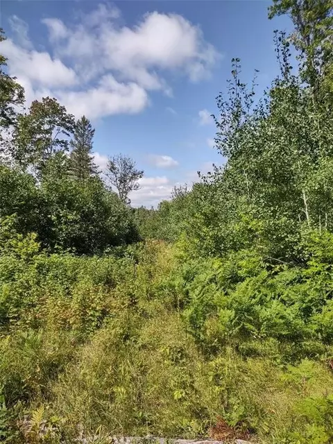 Tbd Willow Court, Cable, WI 54821 photo 6