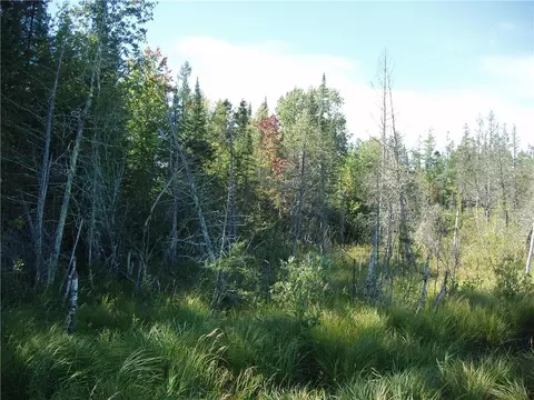 Near Wagner Vogt Road, Butternut, WI 54514
