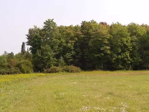 Off Gruhner Road, Catawba, WI 54515