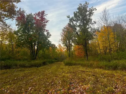 80 Acres Ducommun Rd, Ladysmith, WI 54848