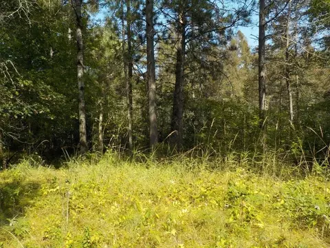 0 Hwy H, Webster, WI 54893 photo 4