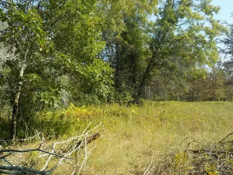 0 Hwy H, Webster, WI 54893 photo 7