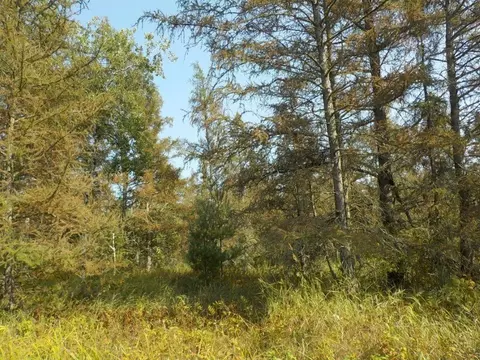 0 Hwy H, Webster, WI 54893 photo 12