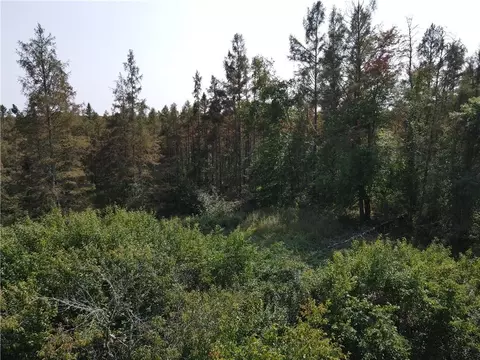 0 Hwy H, Webster, WI 54893 photo 14