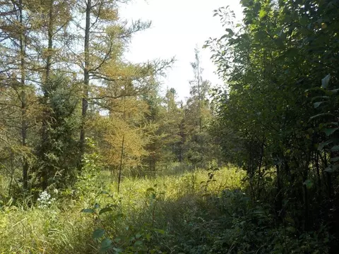 0 Hwy H, Webster, WI 54893 photo 11