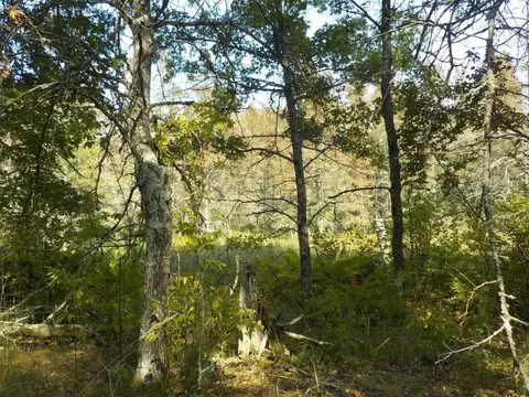 0 Hwy H, Webster, WI 54893 photo 6