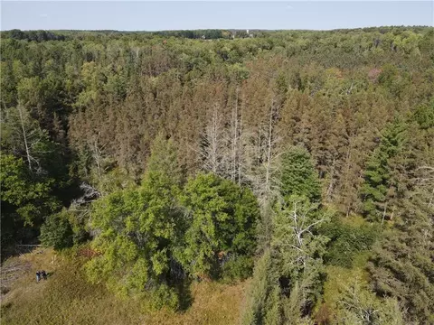 0 Hwy H, Webster, WI 54893 photo 17