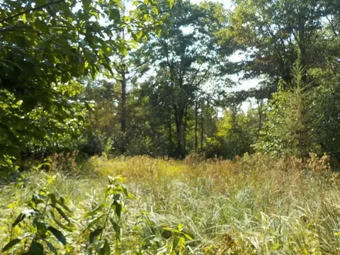 0 Hwy H, Webster, WI 54893 photo 9