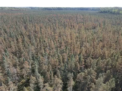 0 Hwy H, Webster, WI 54893 photo 16