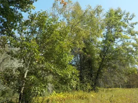 0 Hwy H, Webster, WI 54893 photo 8