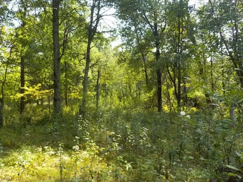 0 Hwy H, Webster, WI 54893 photo 5