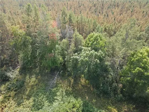 0 Hwy H, Webster, WI 54893 photo 13