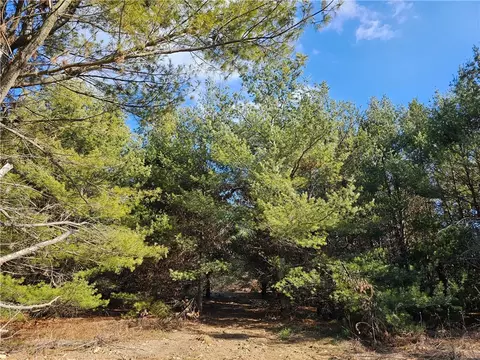lot1 County Road Ff, Webster, WI 54893