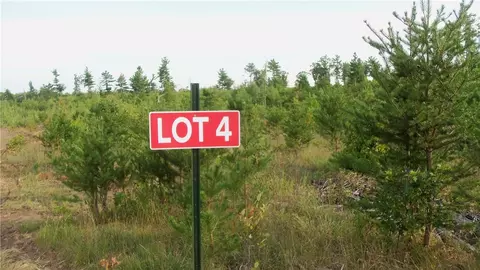 Lot 4 High Ridge Trl, Webster, WI 54893