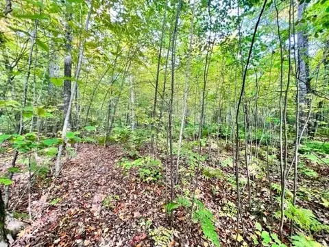 lot9 Peninsula Rd, Hayward, WI 54843