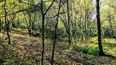 lot5 7 58 Ave, Chetek, WI 54728 photo 35