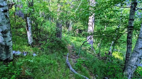 lot5 7 58 Ave, Chetek, WI 54728 photo 23