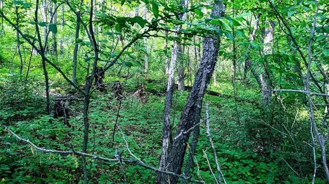 lot5 7 58 Ave, Chetek, WI 54728 photo 29