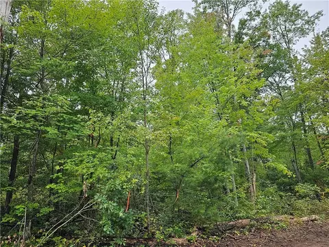 Lot 6 Maria's Way, Webster, WI 54893