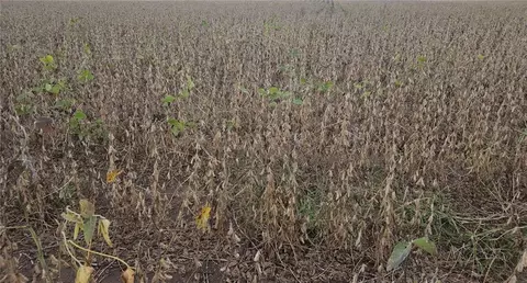 Nnn County Rd C, Elmwood, WI 54740