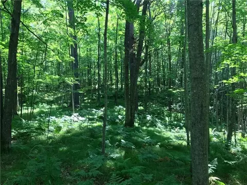 57 Acres Bald Eagle Dr, Trego, WI 54888