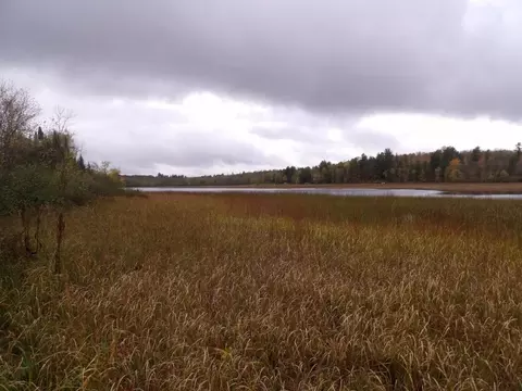 3886 Cicak Rd # W, Loretta, WI 54896 photo 20