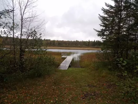 3886 Cicak Rd # W, Loretta, WI 54896 photo 21