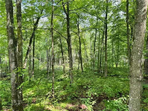 lot1 Circle B Rd, Winter, WI 54896 photo 6
