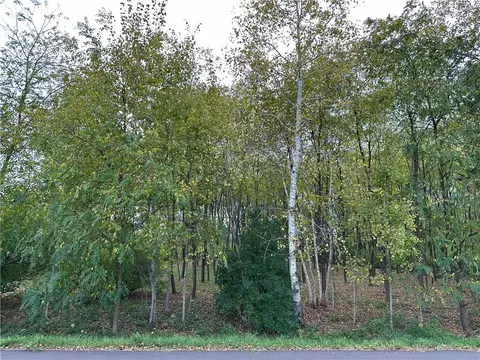 0 Highland Dr, Radisson, WI 54867 photo 9