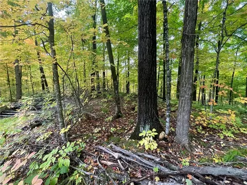0 Bone Lake Ln, Georgetown, WI 54810 photo 17
