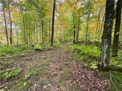 0 Bone Lake Ln, Georgetown, WI 54810 photo 18